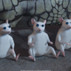 Illustration for article titled Light sensitivity temporarily restored in blind mice